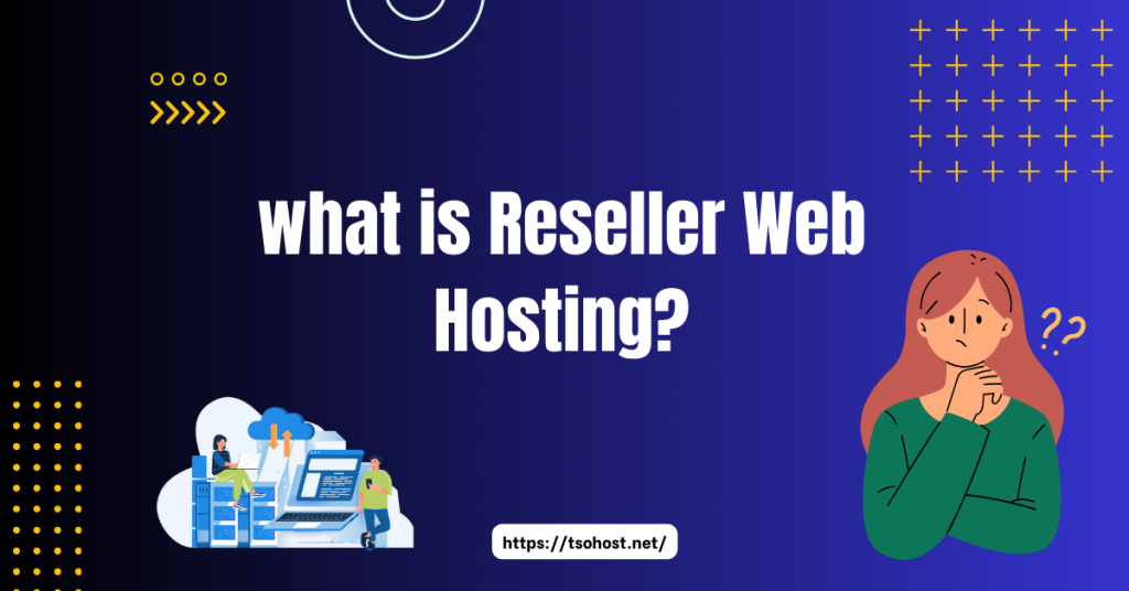 Reseller Web Hosting