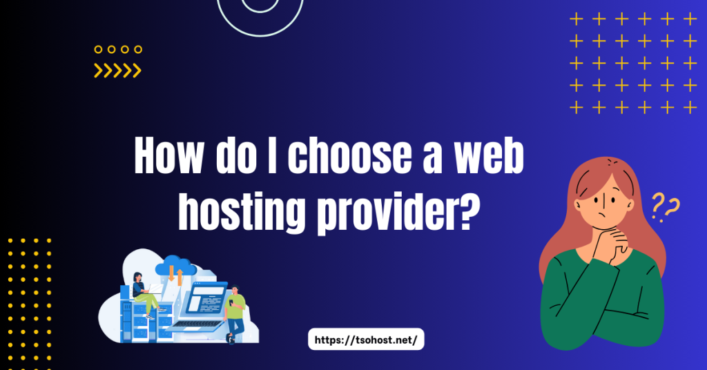 web hosting provider